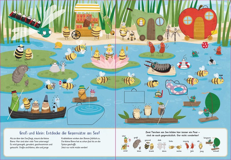 Auf die Flügel, fertig, los!