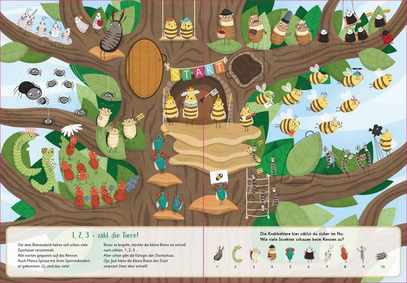 Auf die Flügel, fertig, los!