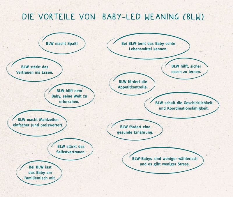 Baby-Led Weaning - das Grundlagenbuch