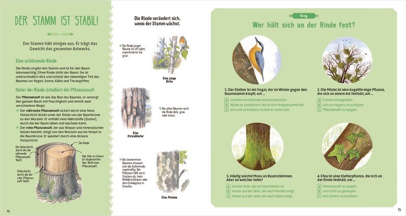 Das große Buch der Bäume