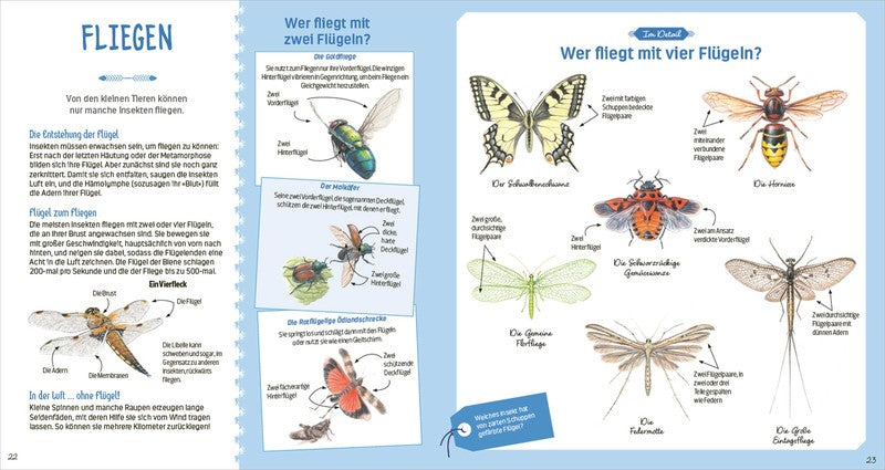 Das große Buch der kleinen Tiere