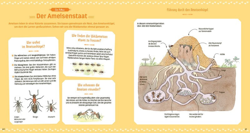 Das große Buch der kleinen Tiere