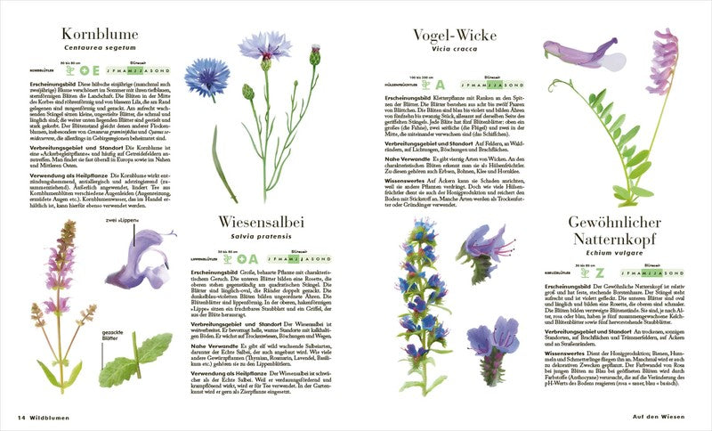 Der große Naturführer