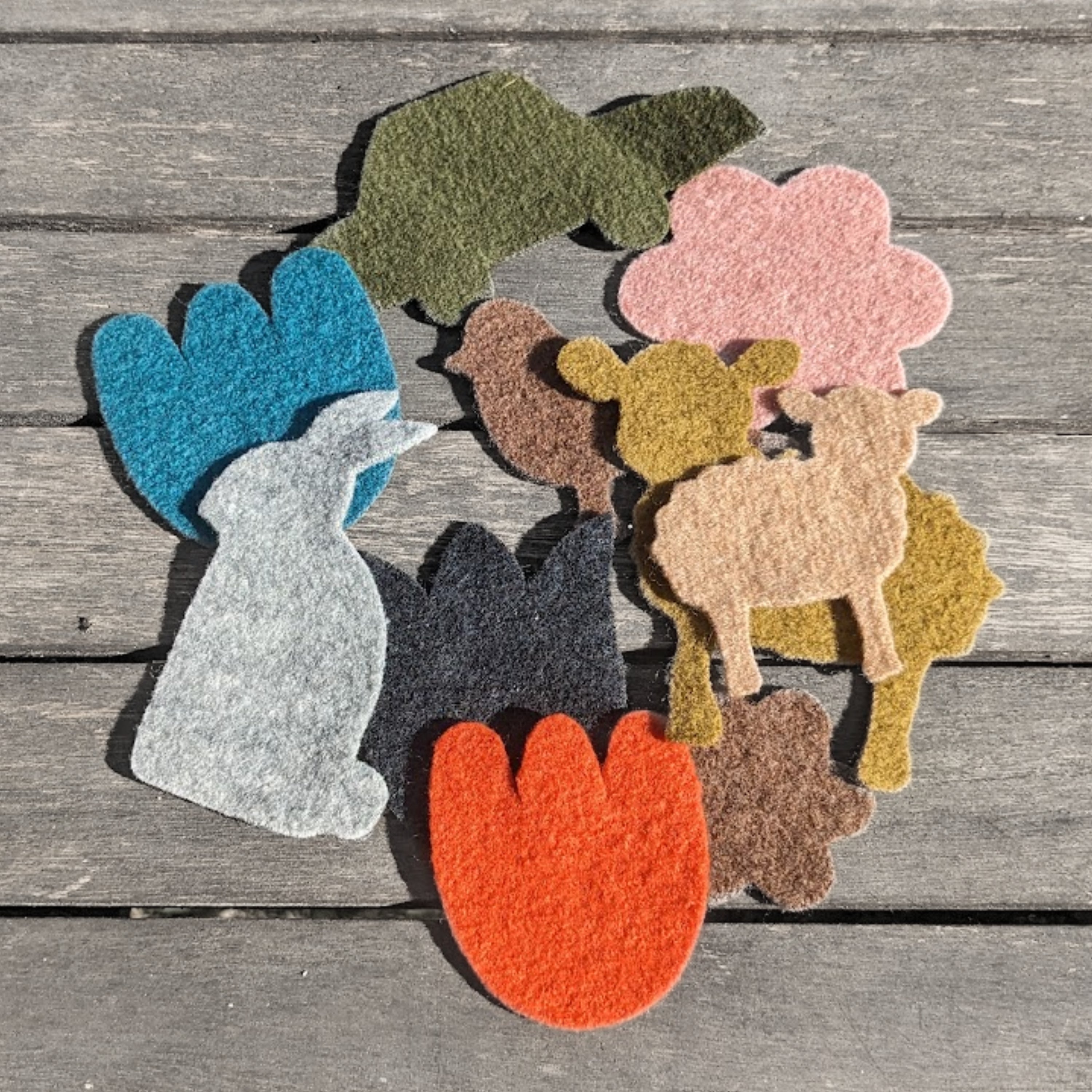 Disana Wollwalk Applikation 10er-Set