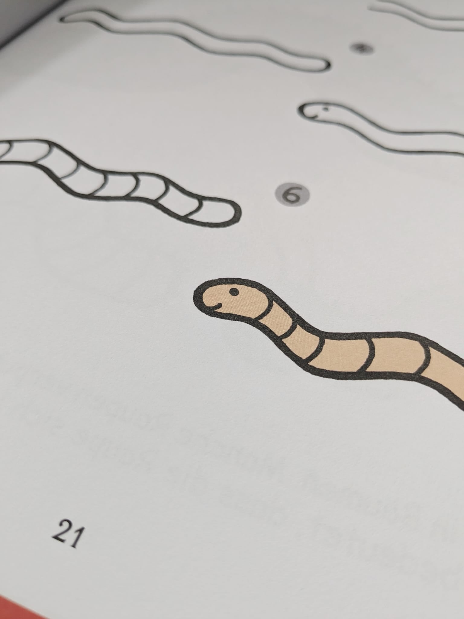 Für kleine Zeichner - Tiere