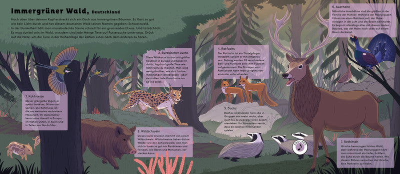 Hörst du die Tiere im Wald ?