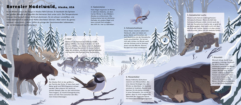 Hörst du die Tiere im Wald ?