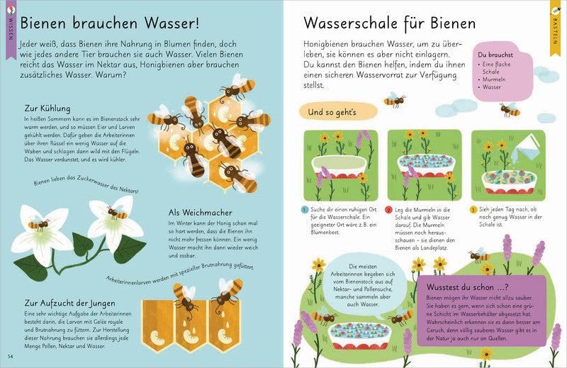 Kennst du die Natur? Bienen
