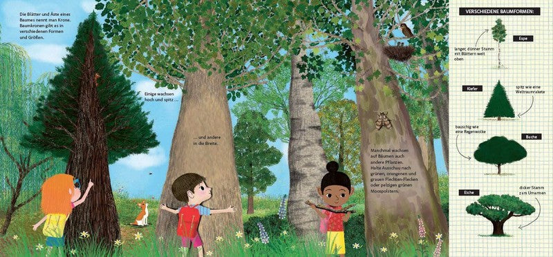 Schau dich um in der Natur - Der Wald