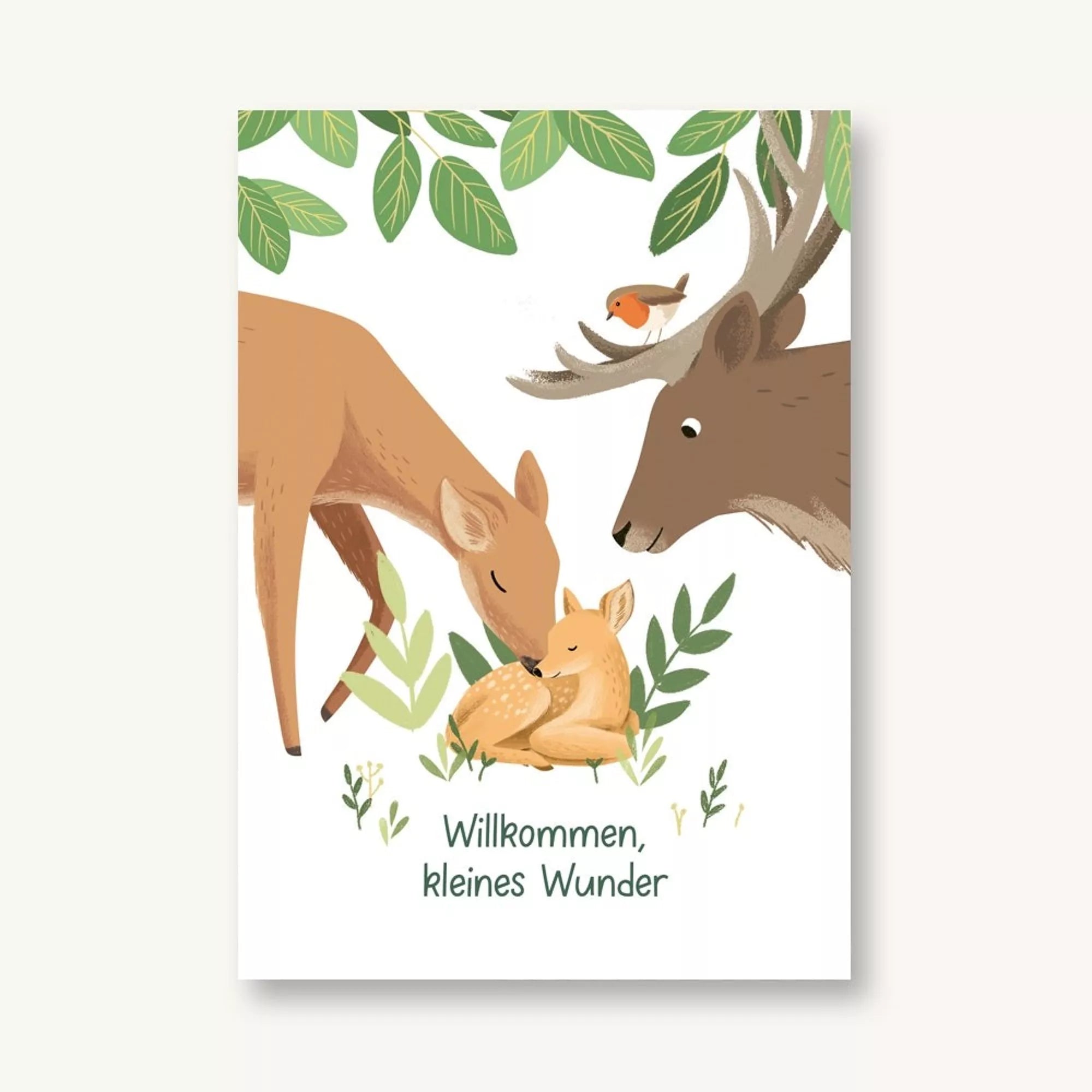 Vierundfünfzig Illustration Postkarte Willkommen, kleines Wunder Waldtiere