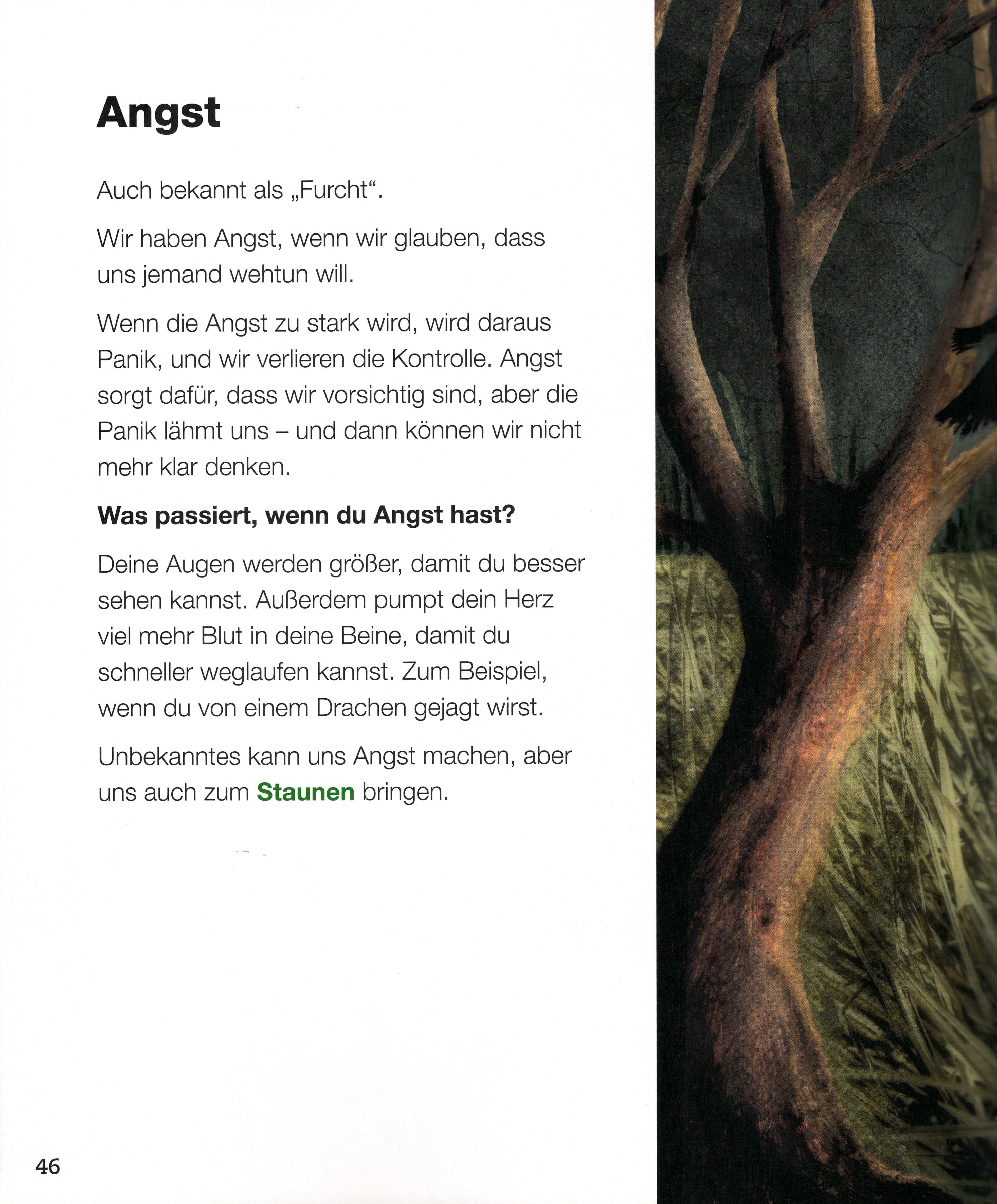 Wenn dein Herz spricht - Die große Welt der Gefühle Angst