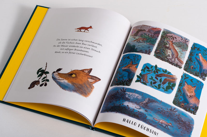 Wunder der Natur - Das Gute-Nacht-Buch