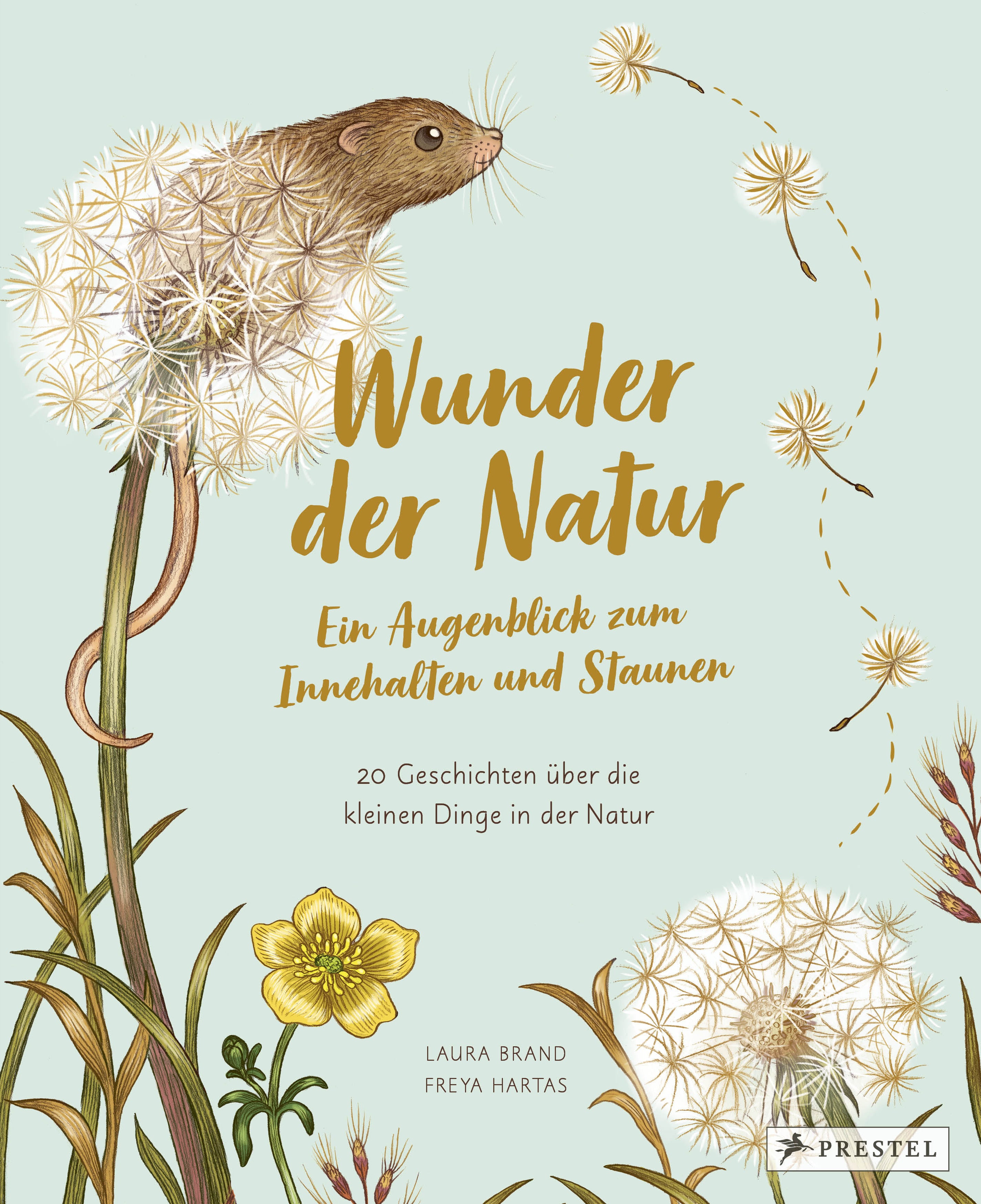 Wunder der Natur - Ein Augenblick zum Innehalten und Staunen
