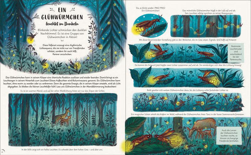 Wunder der Natur - Ein Augenblick zum Innehalten und Staunen