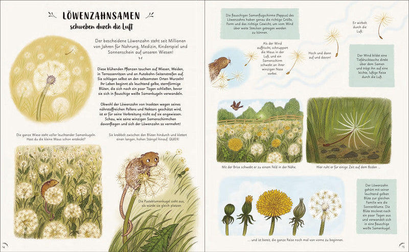 Wunder der Natur - Ein Augenblick zum Innehalten und Staunen