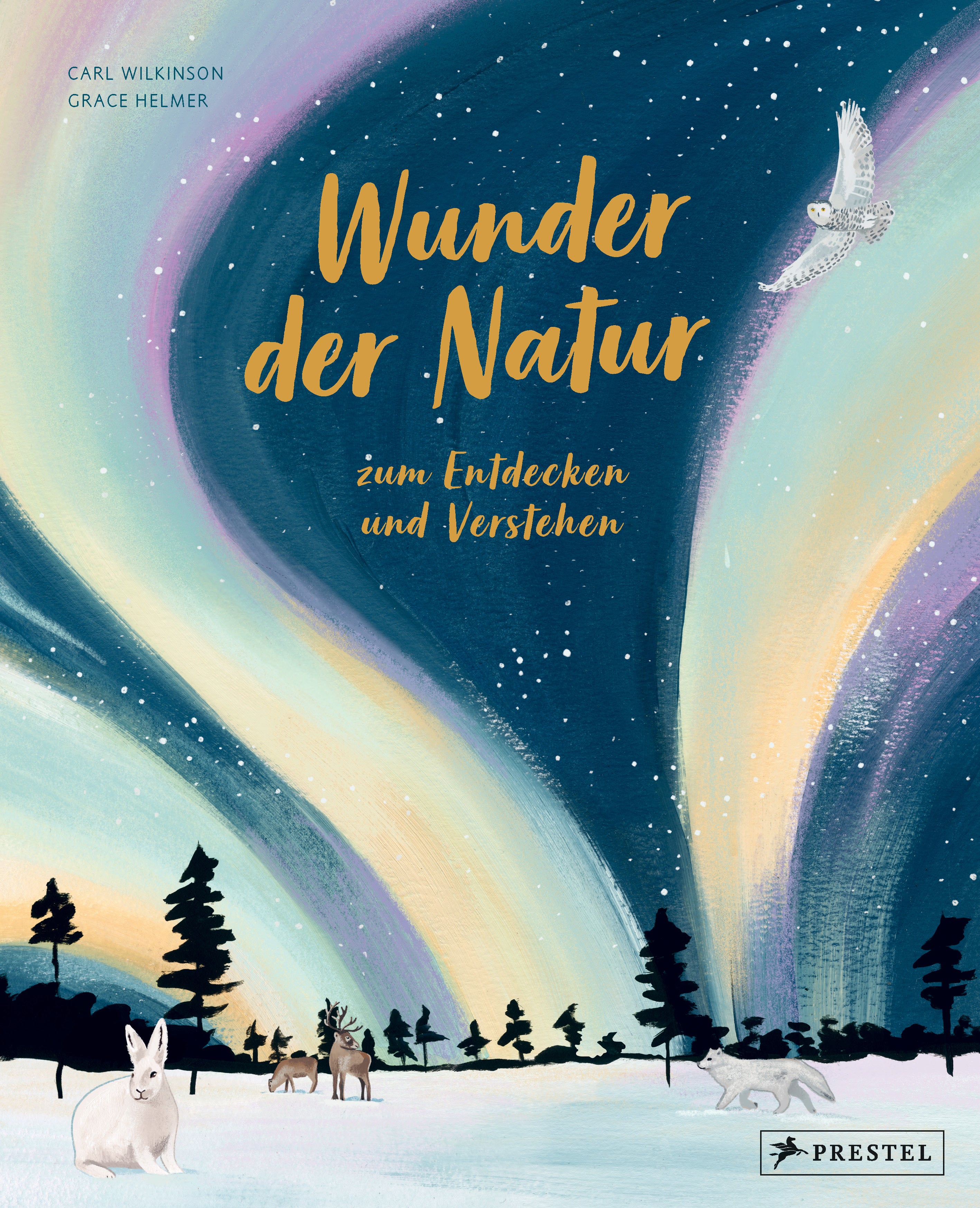 Wunder der Natur. Zum Entdecken und Verstehen