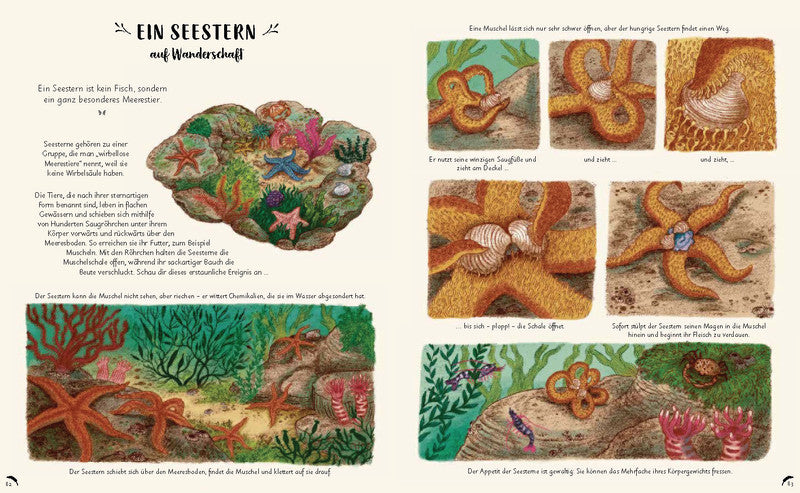 Wunder der Natur zum Innehalten und Staunen