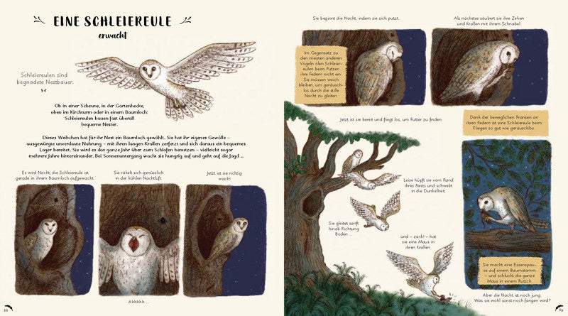 Wunder der Natur zum Innehalten und Staunen