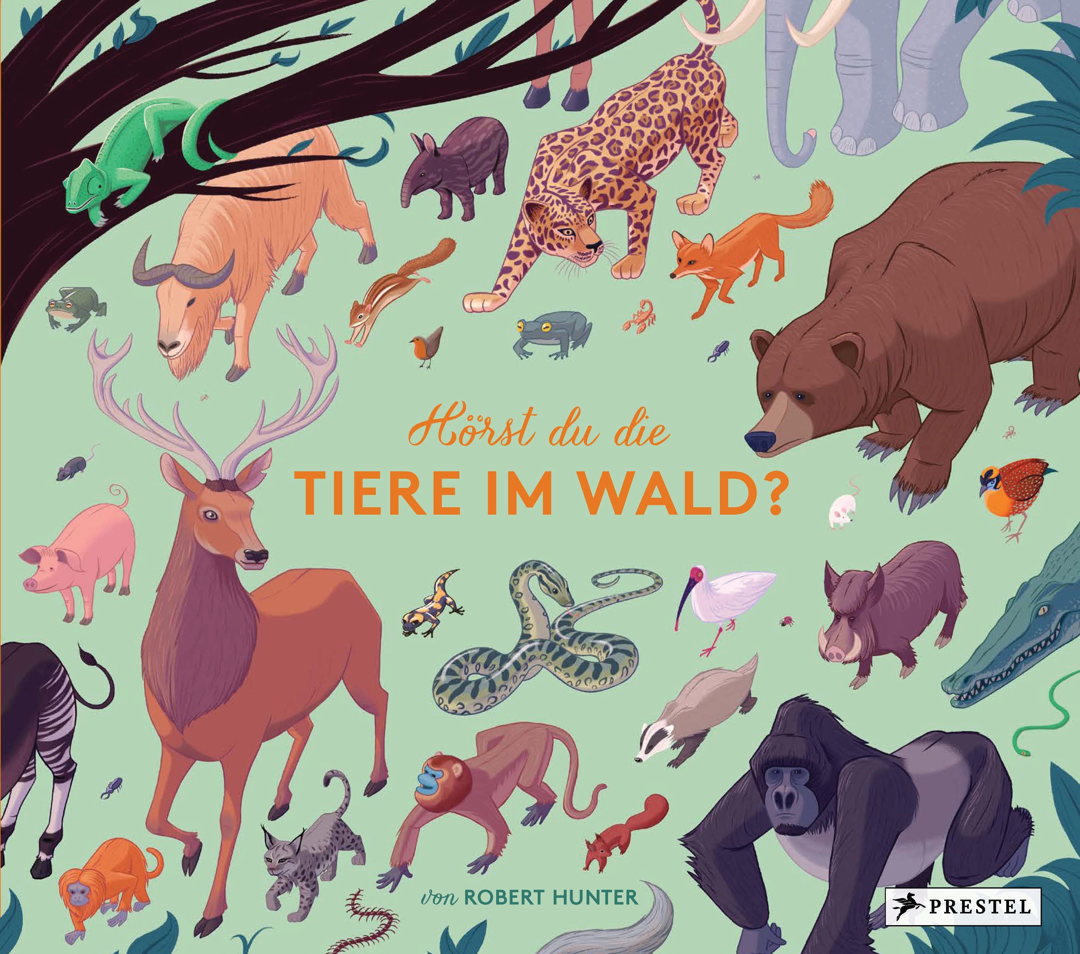 Hörst du die Tiere im Wald ?