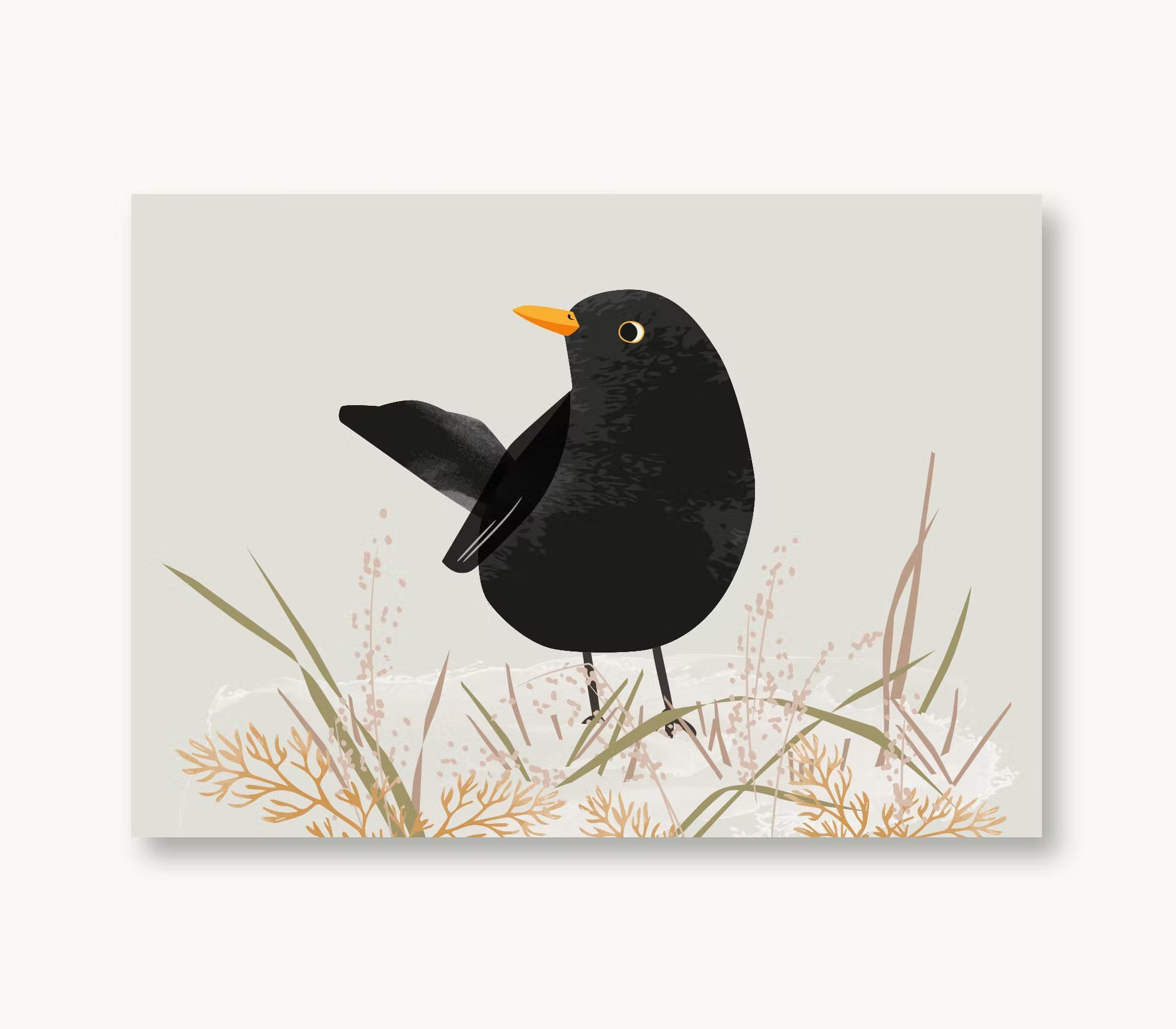 Amsel