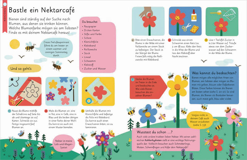 Kennst du die Natur? Bienen