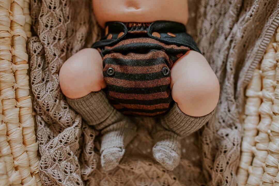 Puppi Wollüberhose V3 Bee Wild