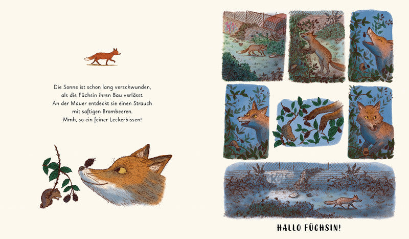 Wunder der Natur - Das Gute-Nacht-Buch