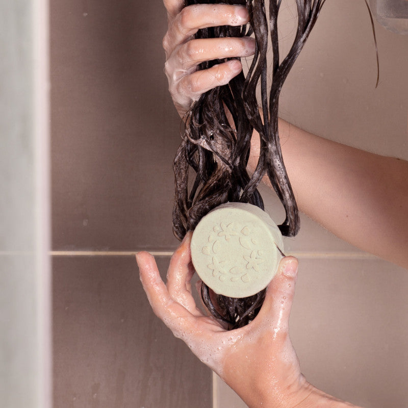 Lamazuna Festes Shampoo