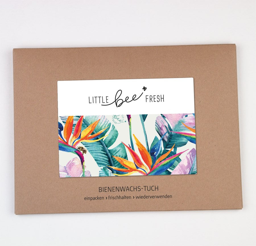 Little Bee Fresh Bienenwachstum XXL Strelizie