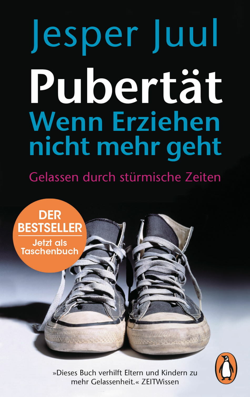 Pubertät - Wenn erziehen nicht mehr geht