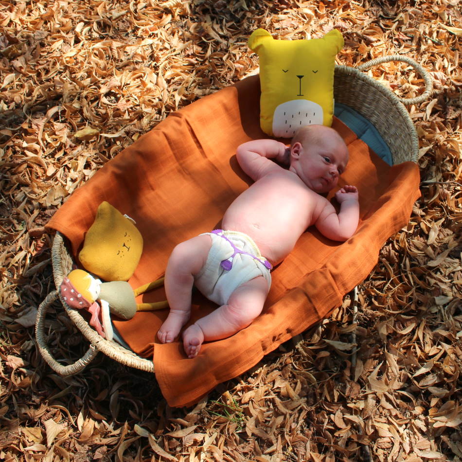 XKKO Prefolds Newborn Birdeye